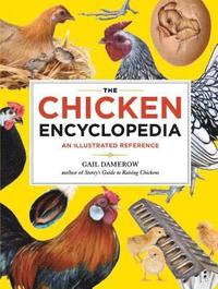 bokomslag The Chicken Encyclopedia