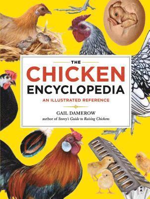 Gail Damerow - Chicken Encyclopedia, Häftad