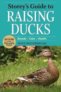 bokomslag Storey's Guide to Raising Ducks, 2nd Edition