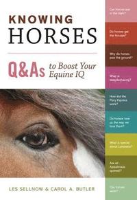bokomslag Knowing Horses