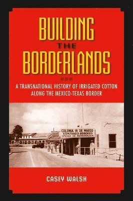 bokomslag Building the Borderlands