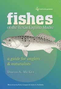 bokomslag Fishes of the Texas Laguna Madre