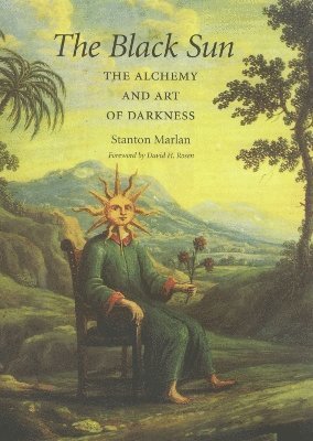 bokomslag Black Sun Volume 10