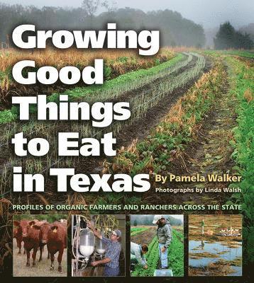 bokomslag Growing Good Things to Eat in Texas