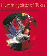 bokomslag Hummingbirds of Texas