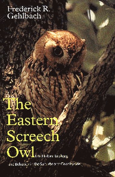 bokomslag Eastern Screech Owl