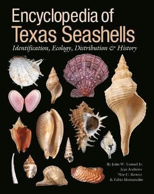 Encyclopedia of Texas Seashells 1