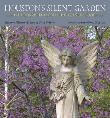 Houston's Silent Garden 1