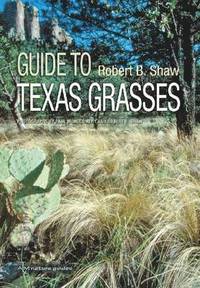 bokomslag Field Guide to Texas Grasses