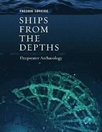 bokomslag Ships from the Depths
