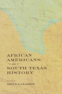 bokomslag African Americans in South Texas History