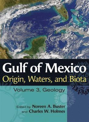 bokomslag Gulf of Mexico Origin, Waters, and Biota