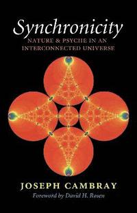 bokomslag Synchronicity: Nature and Psyche in an Interconnected Universe