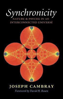 bokomslag Synchronicity: Nature and Psyche in an Interconnected Universe