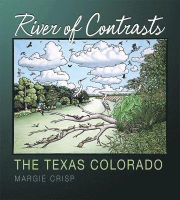 Margie Crisp - River of Contrasts: The Texas Colorado, Häftad