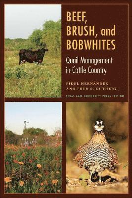 Beef, Brush, and Bobwhites 1