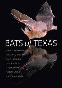 bokomslag Bats of Texas