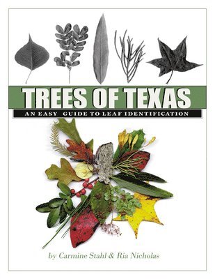 Trees of Texas Volume 34 1