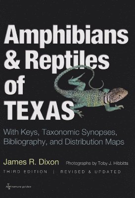 bokomslag Amphibians and Reptiles of Texas