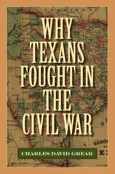 bokomslag Why Texans Fought in the Civil War