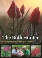 Bulb Hunter