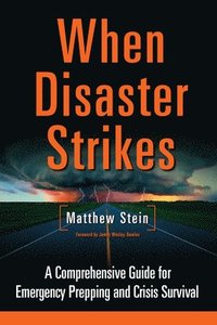 bokomslag Stein, M: WHEN DISASTER STRIKES