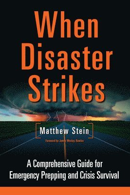Stein, M: WHEN DISASTER STRIKES
