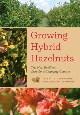 Philip Rutter, Susan Wiegrefe, Brandon Rutter-Daywater - Growing Hybrid Hazelnuts: The New Resilient Crop for a Changing Climate, Häftad