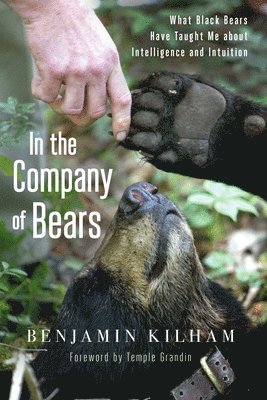 bokomslag In the Company of Bears: What Black Bears Have Taught Me about Intelligence and Intuition