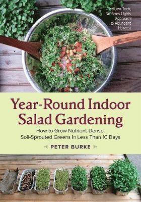 Year-Round Indoor Salad Gardening 1