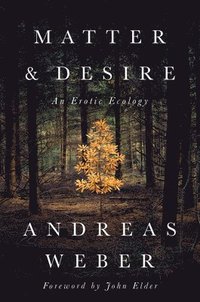 bokomslag Matter and desire - an erotic ecology
