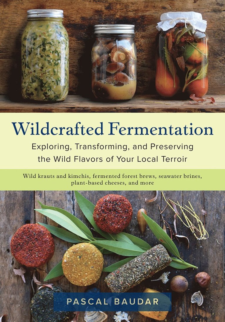 Pascal Baudar - Wildcrafted Fermentation, Häftad