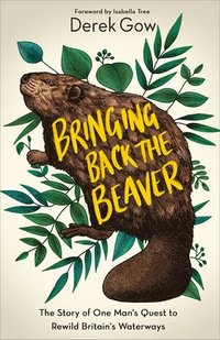 bokomslag Bringing Back the Beaver