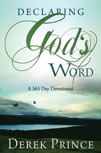bokomslag Declaring God's Word