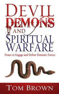 bokomslag Devil, Demons, and Spiritual Warfare
