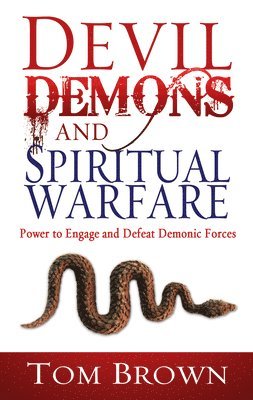 bokomslag Devil, Demons, And Spiritual Warfare