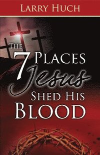 bokomslag 7 Places Jesus Shed His Blood