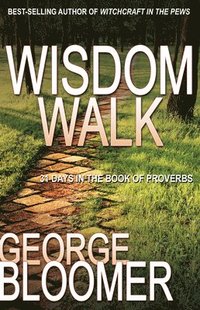bokomslag Wisdom Walk: 31 Days in the Book of Proverbs