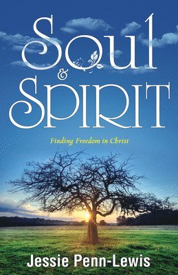 bokomslag Soul and Spirit: Finding Freedom in Christ