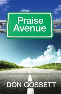 bokomslag Praise Avenue