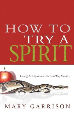 bokomslag How to Try a Spirit: Identify Evil Spirits and the Fruit They Manifest