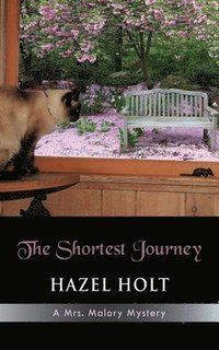 bokomslag The Shortest Journey