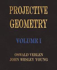 bokomslag Projective Geometry - Volume I