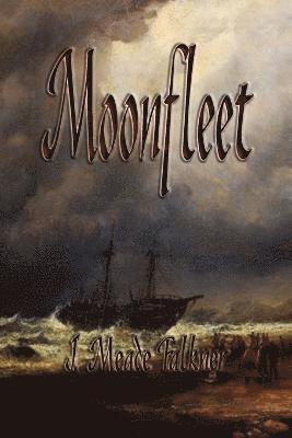 bokomslag Moonfleet