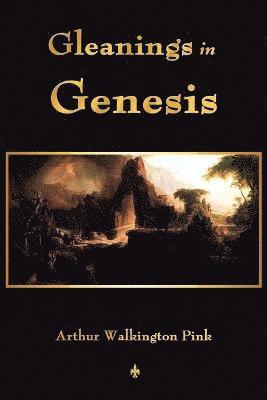 Gleanings In Genesis 1