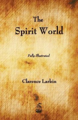 bokomslag Spirit World