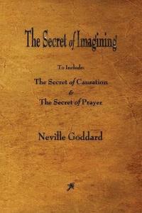 bokomslag Secret of Imagining