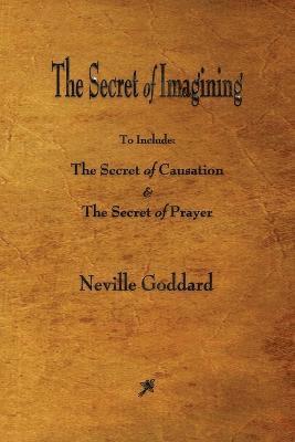 bokomslag Secret of Imagining