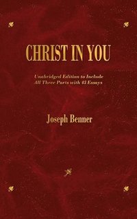 bokomslag Christ In You