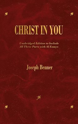 bokomslag Christ In You